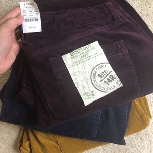 3 Pair of JCrew bootcut corduroys!  Brand New!